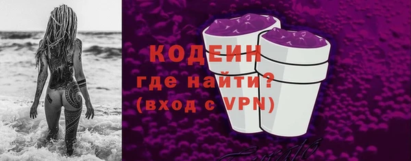 дмт Бородино