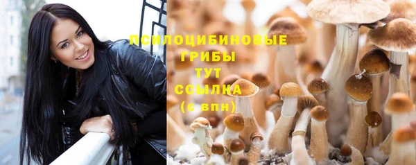 каннабис Верея