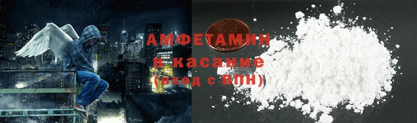 дмт Бородино