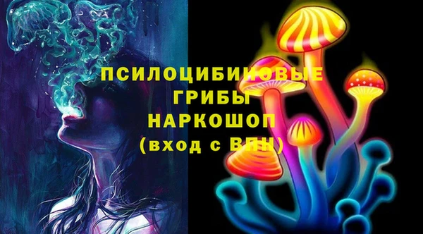 дмт Бородино