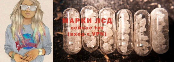 дмт Бородино