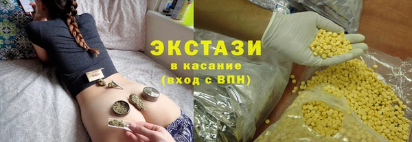 дмт Бородино