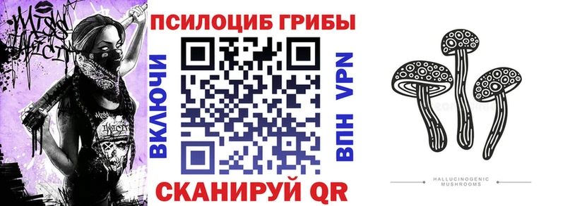 Галлюциногенные грибы Cubensis  MEGA tor  Кимовск  наркотики 